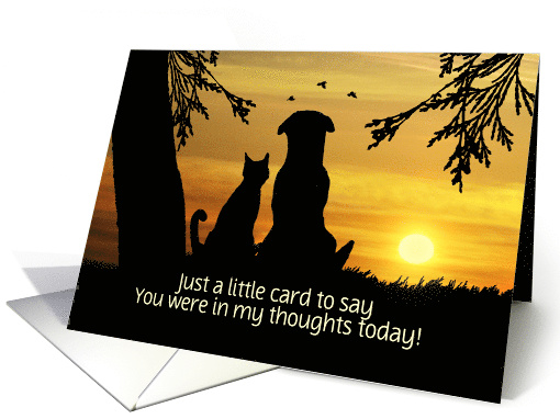 Thinking of You Cute Dog and Cat in Sunset Custom Text Front card