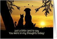 Thinking of You Cute Dog and Cat in Sunset Custom Text Front card