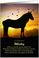 Horse Sympathy Memorial Custom Name in Loving Memory of card