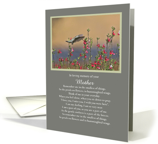 Sympathy Loss of Mother Spiritual Custom with Hummingbird... (1739490)