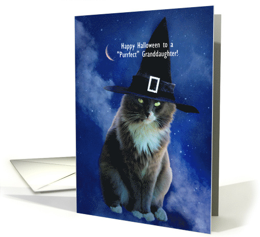 Halloween Cat and Witch Hat for Granddaughter Customize... (1740642)