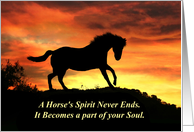 Sympathy Horses Spirit Beautiful Spiritual Horse and Sunset card