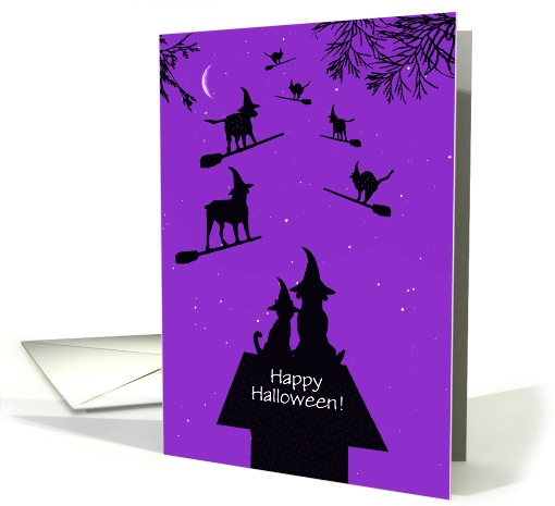Halloween Funny Dogs and Cats was Witches on Brooms Custom Text card