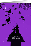 Halloween Funny Dogs and Cats was Witches on Brooms Custom Text card