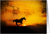 Happy Birthday Beautiful Day with Running Horse and Birds card