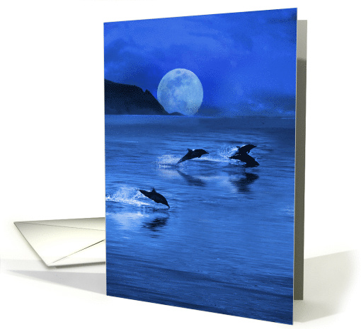 Ocean Coastal Dolphins in the Moonlight Sea Blank Any Occasion card