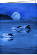 Ocean Coastal Dolphins in the Moonlight Sea Blank Any Occasion card