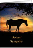 Sympathy Loss of Horse Bereavement with Horse Silhouetted in Sunset card