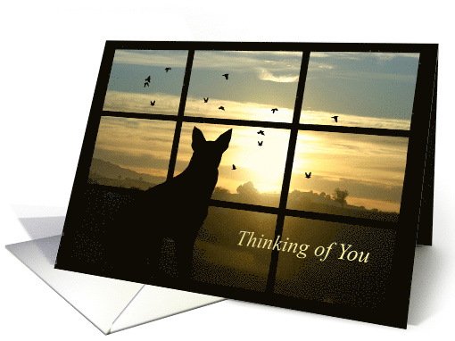 Condolences Thinking of You Dog in Window with Sunset Sympathy card