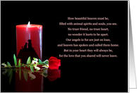 Pet Sympathy Condolences with Rose Candle Poem Heaven is Beautiful card