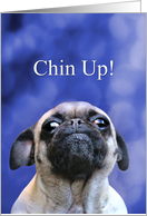 Encouragement Chin Up Hang in There Cute Pug Dog card