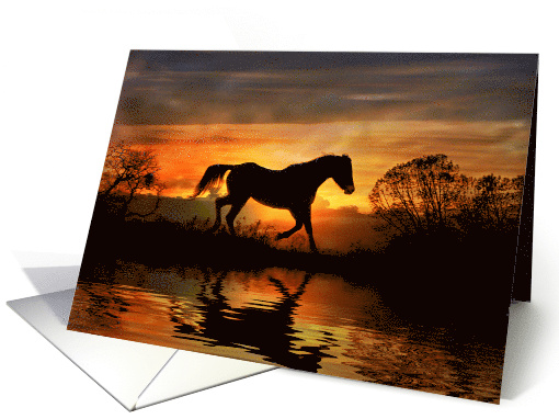 Horse and Water in Southwestern Color Fine Art Photography Blank card