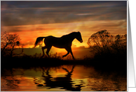 Summer Solstice Pagan Holiday Litha with Horse in Sun and Water card