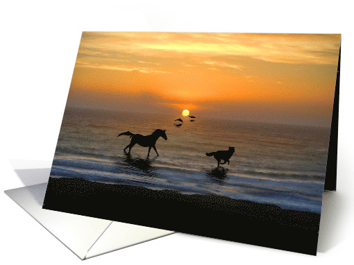 Happy Birthday Horse Dog Dolphins Kindred Spirits on the Beach card