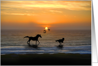 Happy Birthday Horse Dog Dolphins Kindred Spirits on the Beach card