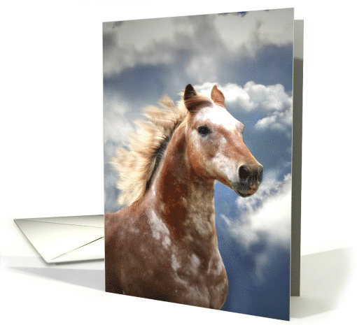 Wild Free Appaloosa Horse Galloping with Clouds Headshot Blank card