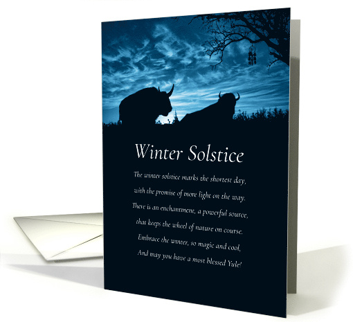 Winter Solstice Blessing with Buffalo and Dreamcatcher... (1785386)