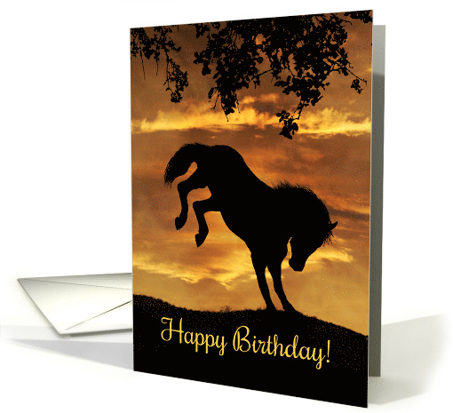 Horse Happy Birthday Kicks card (488774)