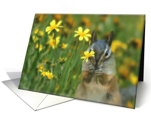 Just Saying Hello with a Cute Chipmunk Holding a Flower card (528019)