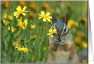 Just Saying Hello with a Cute Chipmunk Holding a Flower card