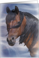 Horse Birthday in Blue with Flowing Mane card