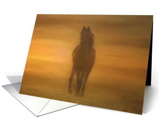 Arabian Horse in the Sand Birthday card (567059)