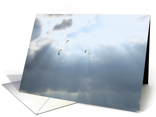 seagulls cloud divorce card (574036)