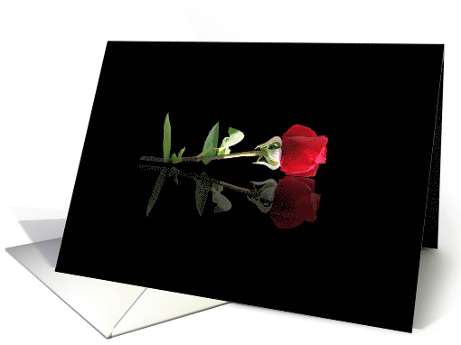 I Love You, Simply I Love You Beautiful Red Rose Romance card (579051)