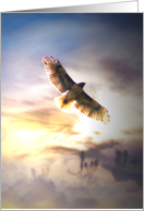 Hawk Happy Father’s Day card