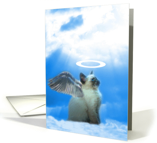 Kitty angel thank you card (580863)