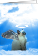 Kitty angel thank you card