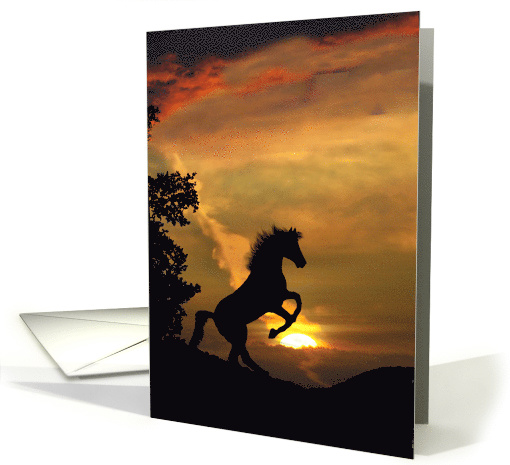 horse hello card (581315)