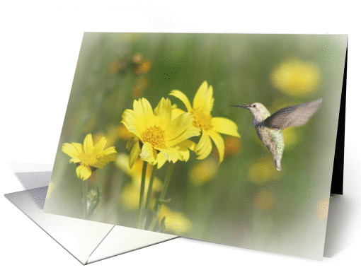 humming bird mother's birthday card (581839)