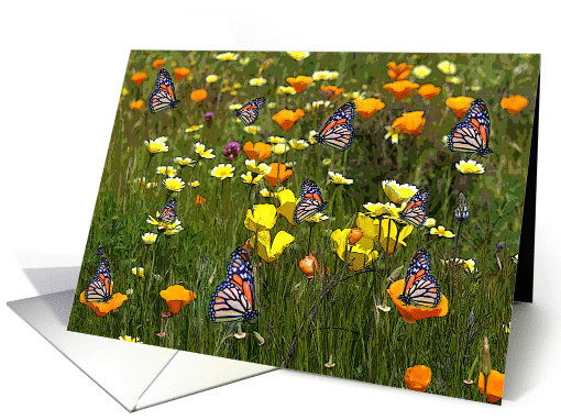 Monarch Birthday card (582020)