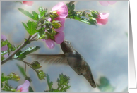 humming bird birthday for mom card