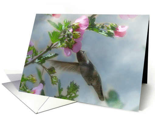 Hummingbird and Flower Thank You for Your Sympathy - Condolences card