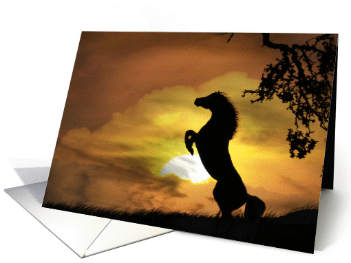 birthday wishes rearing horse card (582529)