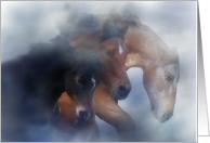 Pretty Horses in the Mist Say Hello to Friend card