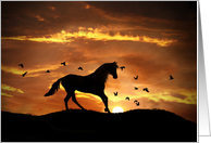 Horse Divorce Encouragement, Divorce Support card