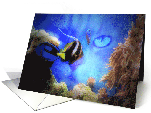 Funny Cat and Fish in Tank Cute Happy Birthday card (593478)