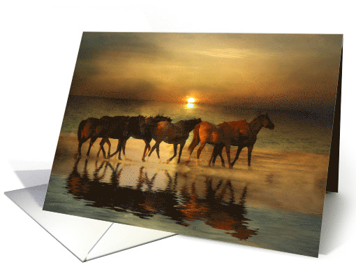 Horse Thank You, Horses on the Beach, Horse Photography Thank You card