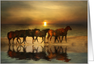 Horse Thank You, Horses on the Beach, Horse Photography Thank You card