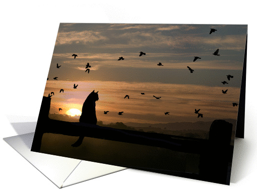 Thank You Cat in Sunset card (631411)