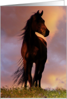 Happy Birthday Horse Silhouette against the Clouds card