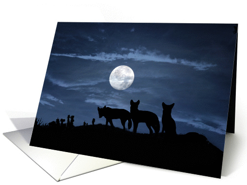 Wild Coyote Happy Birthday card (633553)