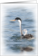 congratulations new arrival, Momma & baby birds card
