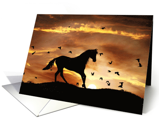 Beautiful horse Birthday card (635423)