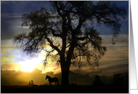 Beautiful Spiritual Loss of Horse Sympathy Horse Memorial card