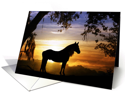 horse sympathy card (635837)