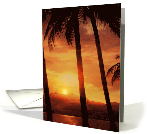 Paradise Palm Tree Birthday Sunset Island Coastal card (635872)